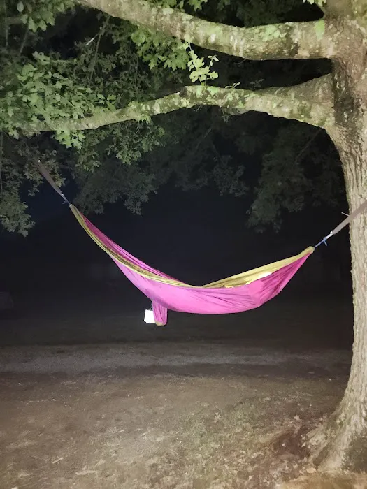Boone Creek Campground Picture 7