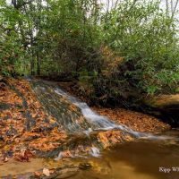Sloan Bridge Picnic Area ico