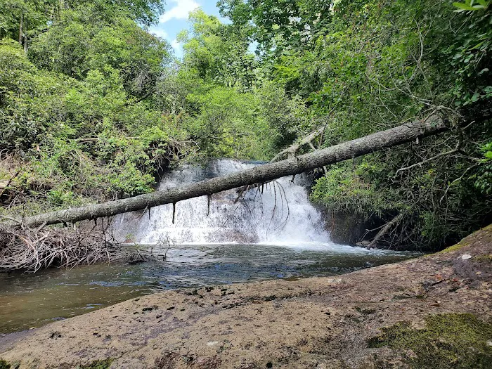 Sloan Bridge Picnic Area Picture 5