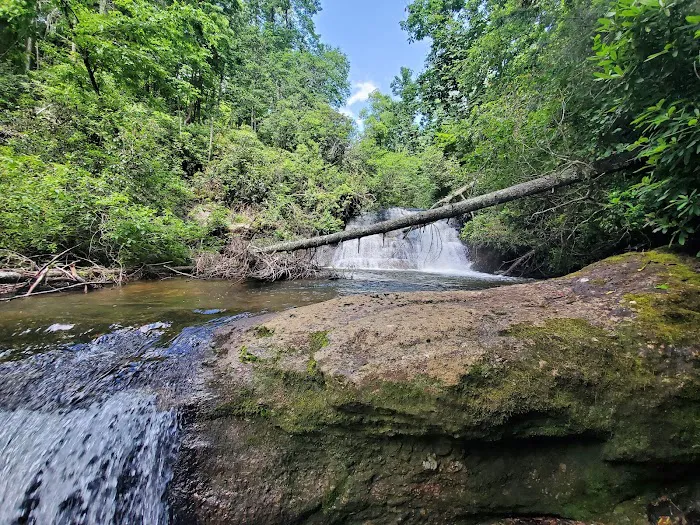 Sloan Bridge Picnic Area Picture 6