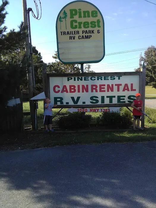 Pine Crest RV Park & Resort Picture 5