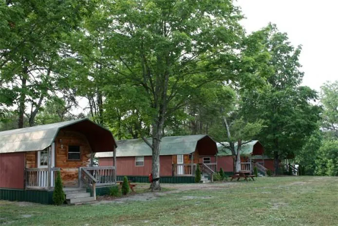 Pine Crest RV Park & Resort Picture 8