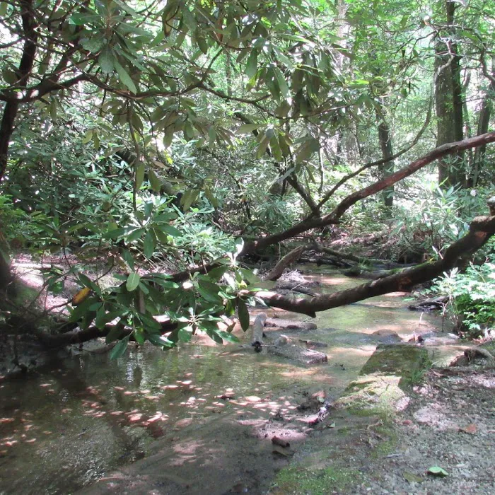 Cherry Hill Recreation Area Picture 6