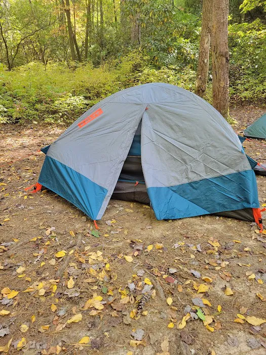 Burrell’s Ford Campground Picture 1