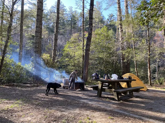 Burrell’s Ford Campground Picture 5