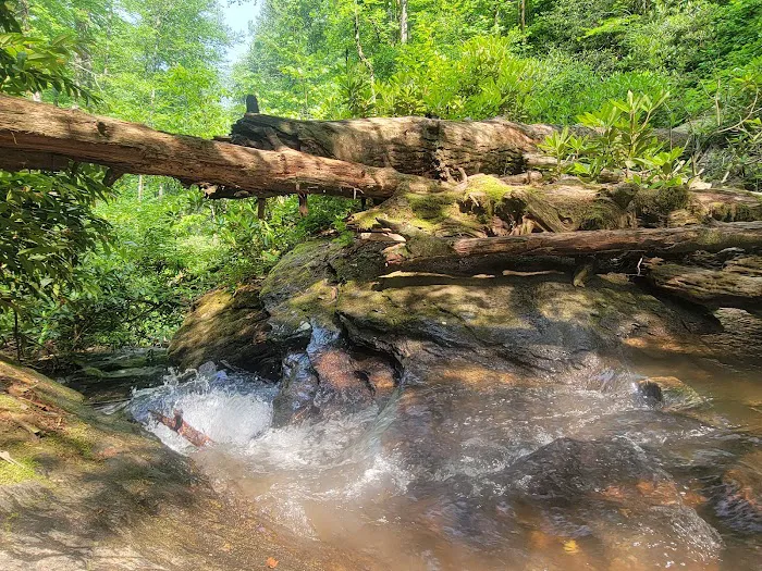 Burrell’s Ford Campground Picture 9