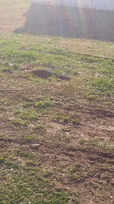 Pine Ridge Mobile Home Park application Picture 7