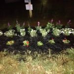 Memory Springs Mobile Home Prk