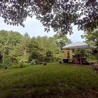 Camp Uptown Backwoods ico
