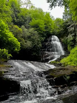 Camp Uptown Backwoods Picture 7