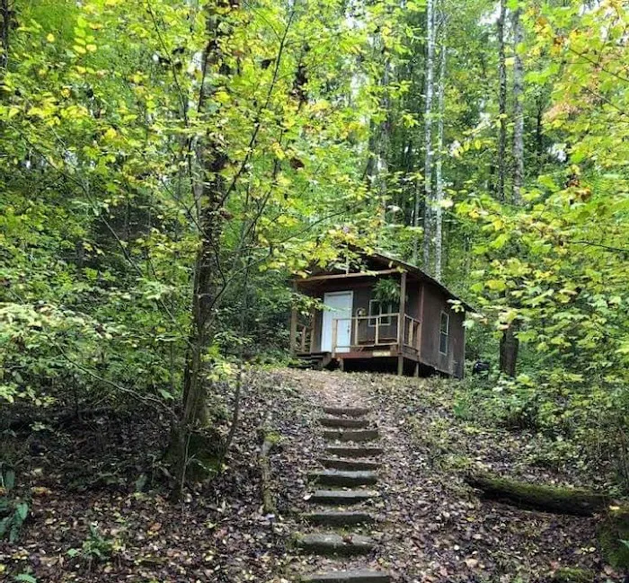 Shoestring Creek Campground Picture 2