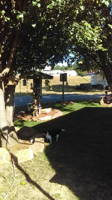 Overnight RV Park Picture 3