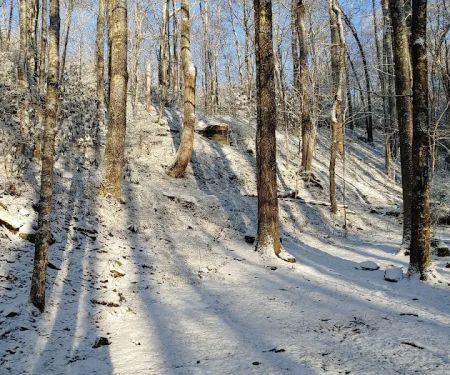 Backcountry Campsite #35