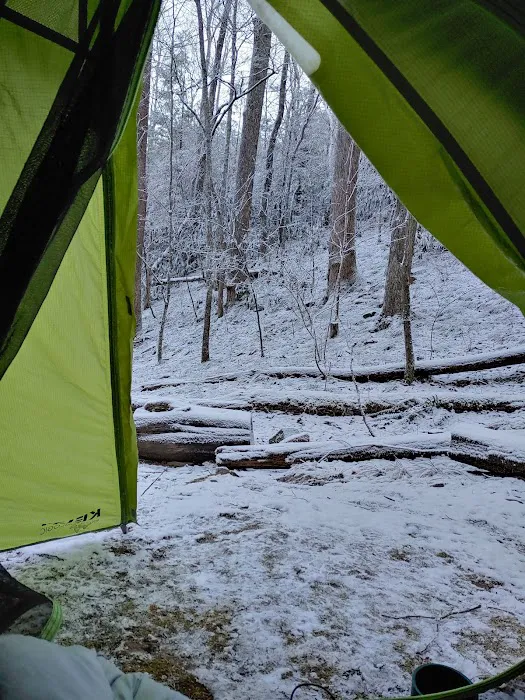 Backcountry Campsite #35 Picture 6