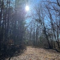 Feather’s Hideaway LLC ico
