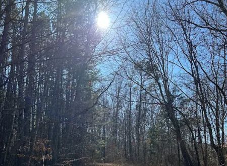 Feather’s Hideaway LLC