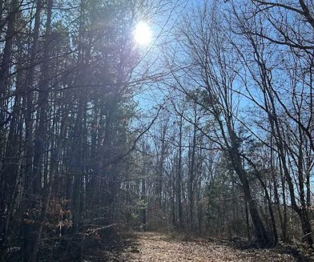Featheru2019s Hideaway LLC