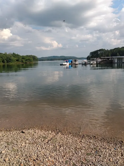 Card'nal Cove Campground and Marina Picture 4