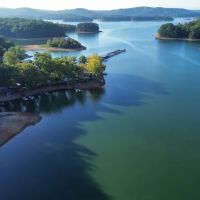 Card'nal Cove Campground and Marina ico