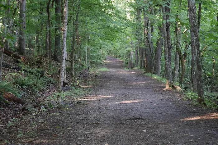 Panther Creek State Park Campground Picture 6