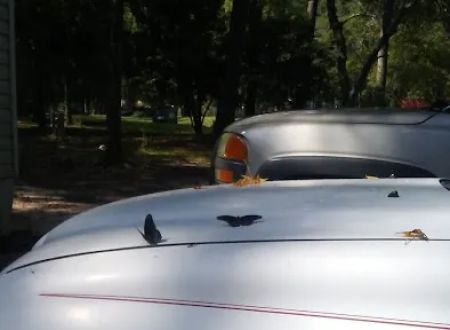 The Ranchitos Mobile Home Park