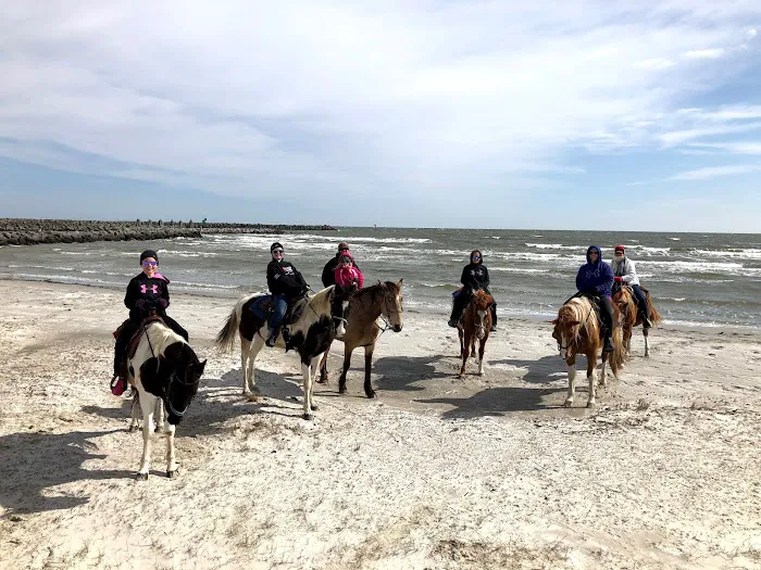 Cedar Island Ranch Picture 4