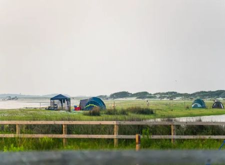 Cedar Island Ranch