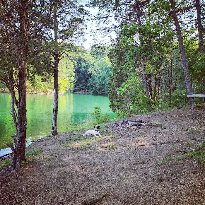 The campsite at Hunkerdown Hollow Picture 2