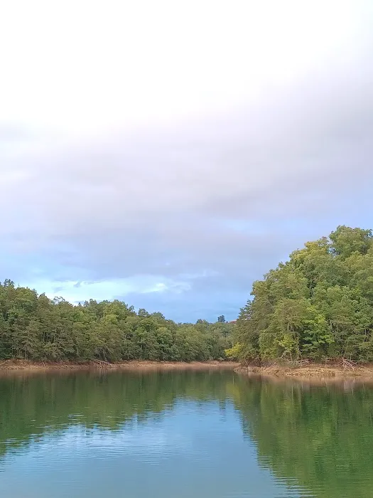 The campsite at Hunkerdown Hollow Picture 8