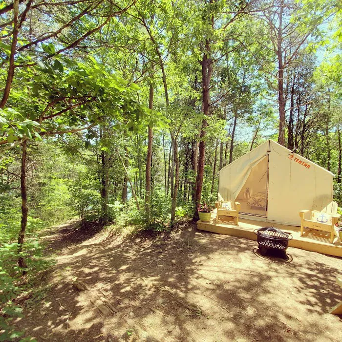 The campsite at Hunkerdown Hollow Picture 7