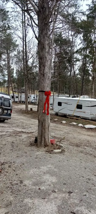 Backwoods Market And Campground Picture 10