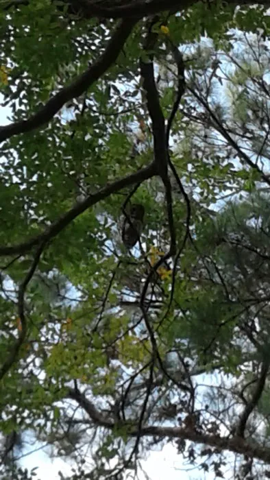 Shady Grove Mobile Home Park Picture 10