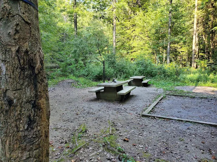 Lost Creek RV Park Picture 5