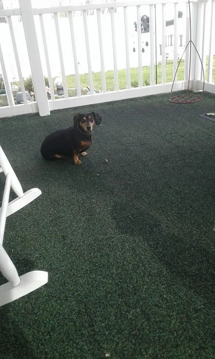 Montgomery Mobile Home Park Picture 4