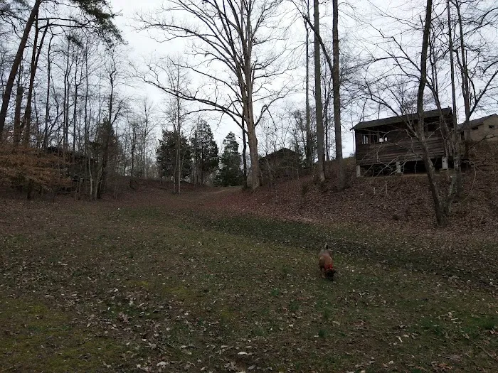 Big Ridge - Group Camp Picture 3