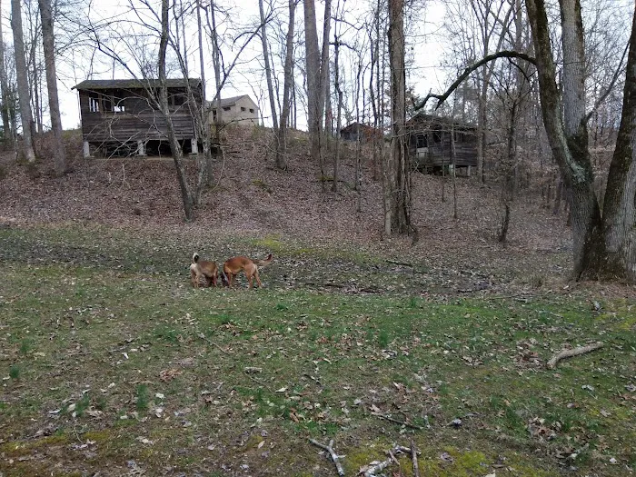 Big Ridge - Group Camp Picture 10