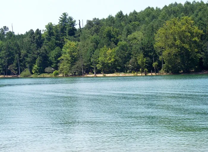 Loyston Point Campground Picture 3