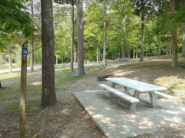 Loyston Point Campground Picture 10
