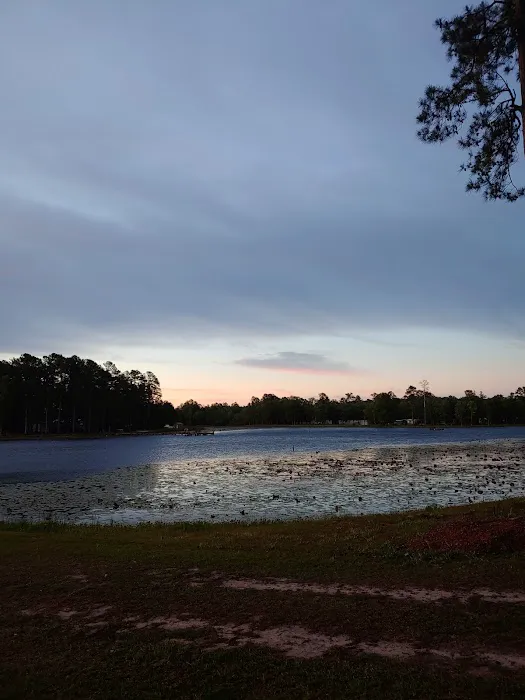 Williamson Mobile Estate & RV Park Picture 9
