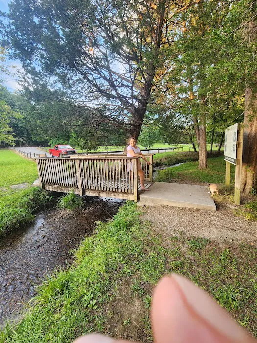 Big Ridge State Park Campground Picture 9