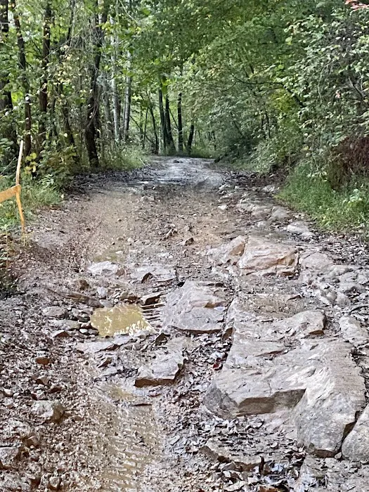 Big Creek ATV Campsite Picture 2