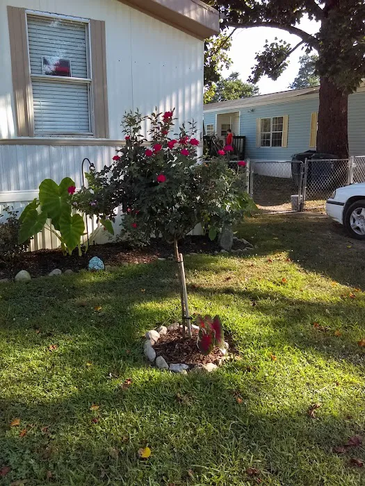 Beacon's Bay Mobile Home Park Picture 2