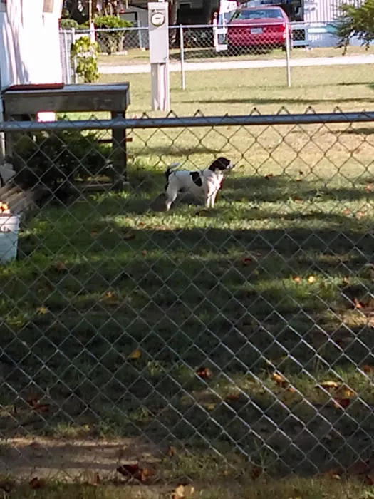 Beacon's Bay Mobile Home Park Picture 8