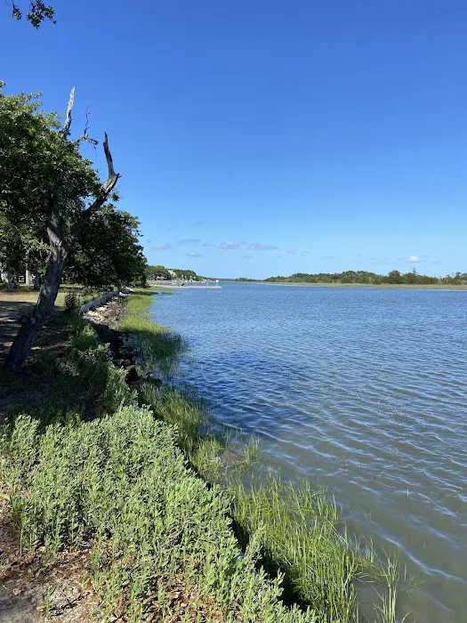 Buck Hall Recreation Area and Boat Landing Picture 1