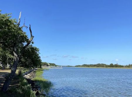 Buck Hall Recreation Area and Boat Landing