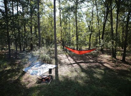 Halfway Creek Trailhead