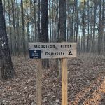 Nicholson Creek Campsite