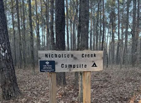 Nicholson Creek Campsite