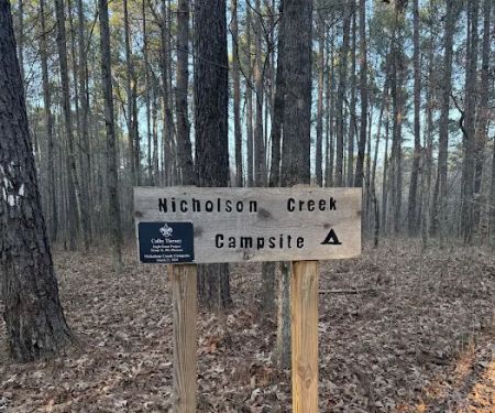 Nicholson Creek Campsite