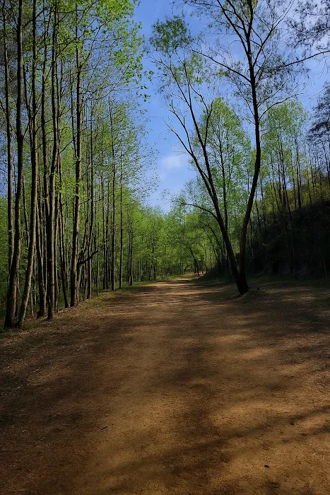 Gray Hills Picture 4